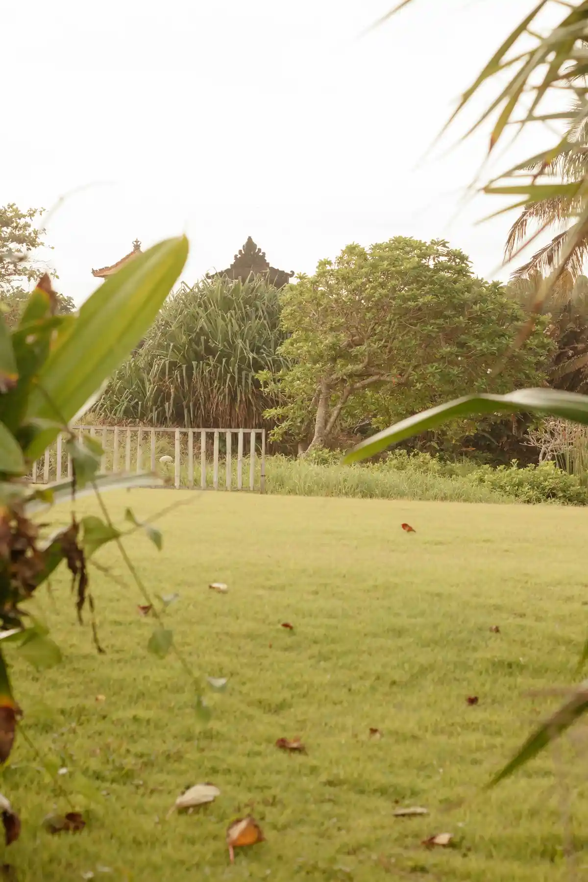 Dustgrove team — landscaping